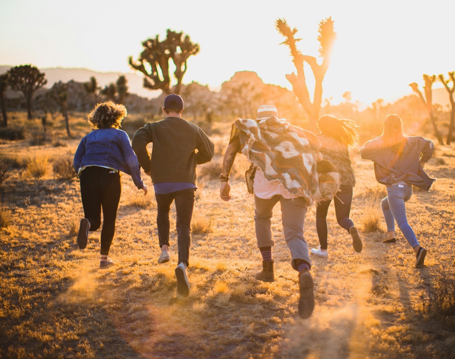 Navigating The Chaos Of Our Daily Routines